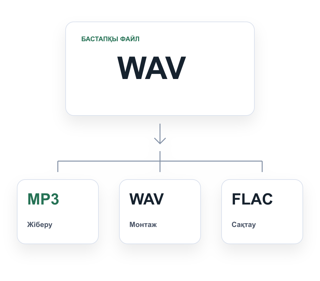 Аудионы түрлендіру сызбасы: бастапқы WAV файлы MP3, FLAC немесе басқа WAV файлына айналады